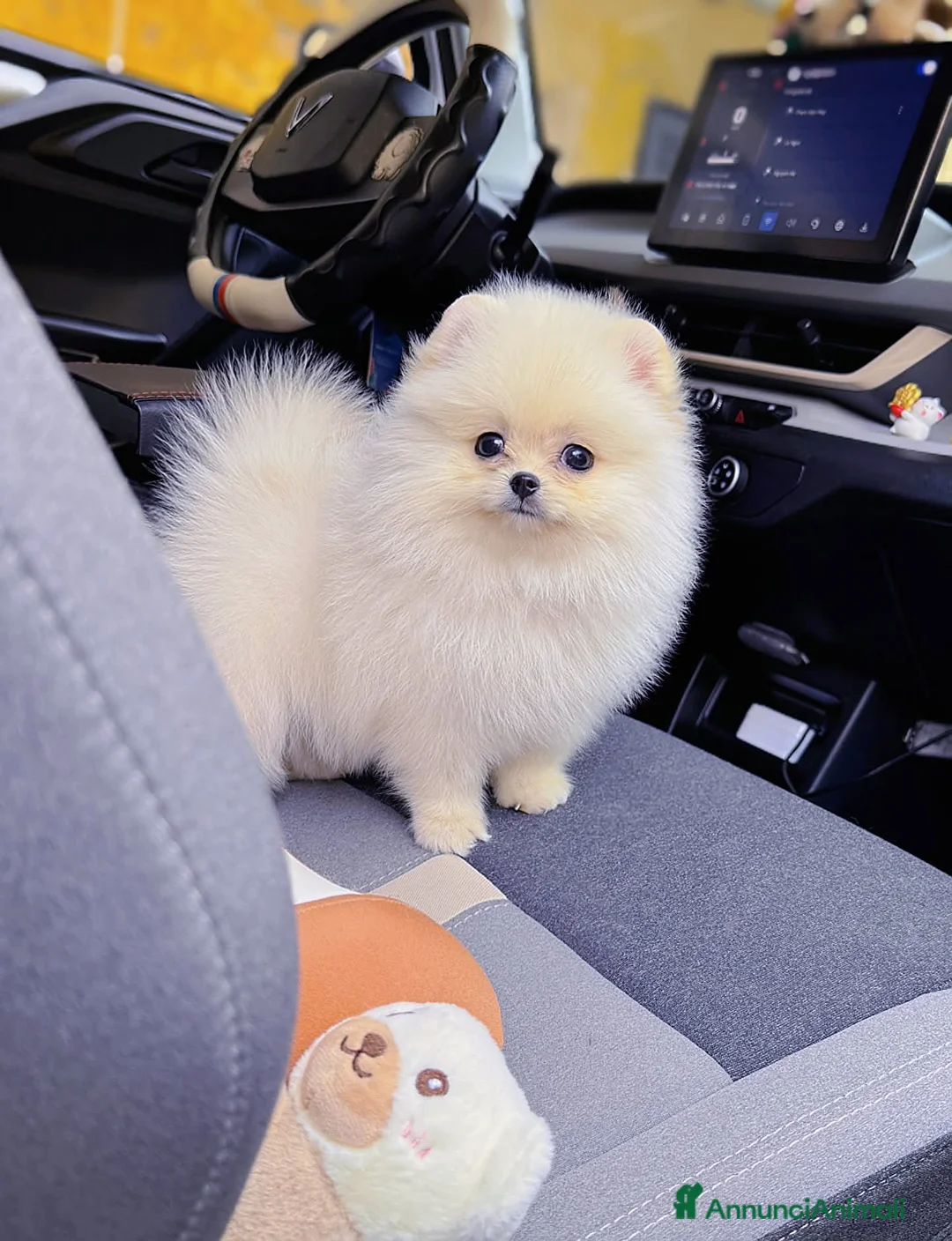 Immagine della galleria {{count}}