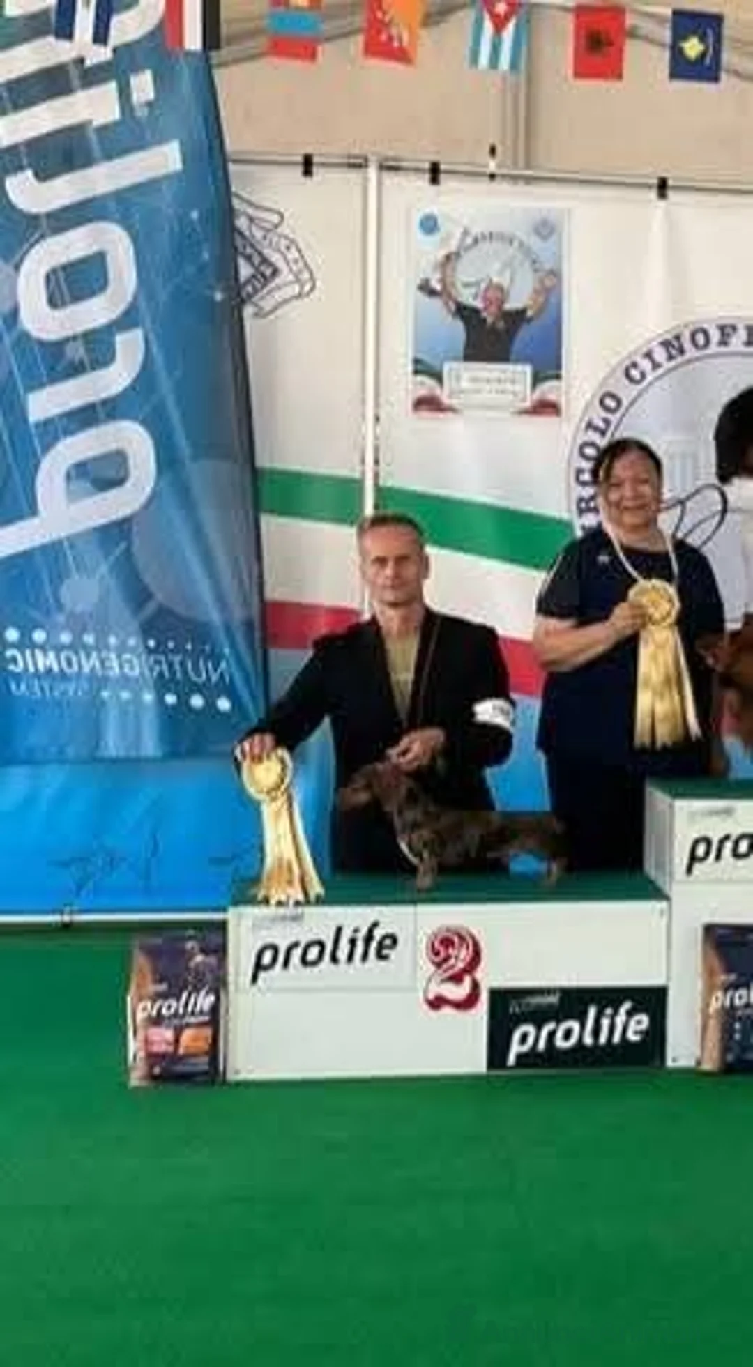 Bassotto cani in vendita: Bassotto maschio nano pelo corto  - Annuncio 5