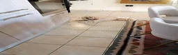 Lhasa Apso cani per accoppiamento: Leonardo a Provincia di Lecce - Annuncio 1