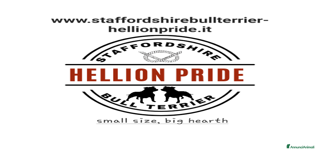 Immagine della galleria {{count}}