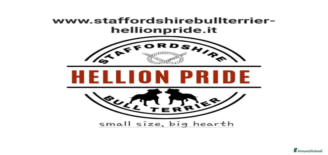 Immagine della galleria {{count}}