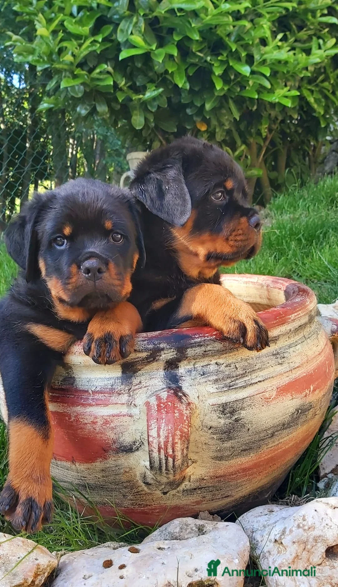 Immagine della galleria {{count}}