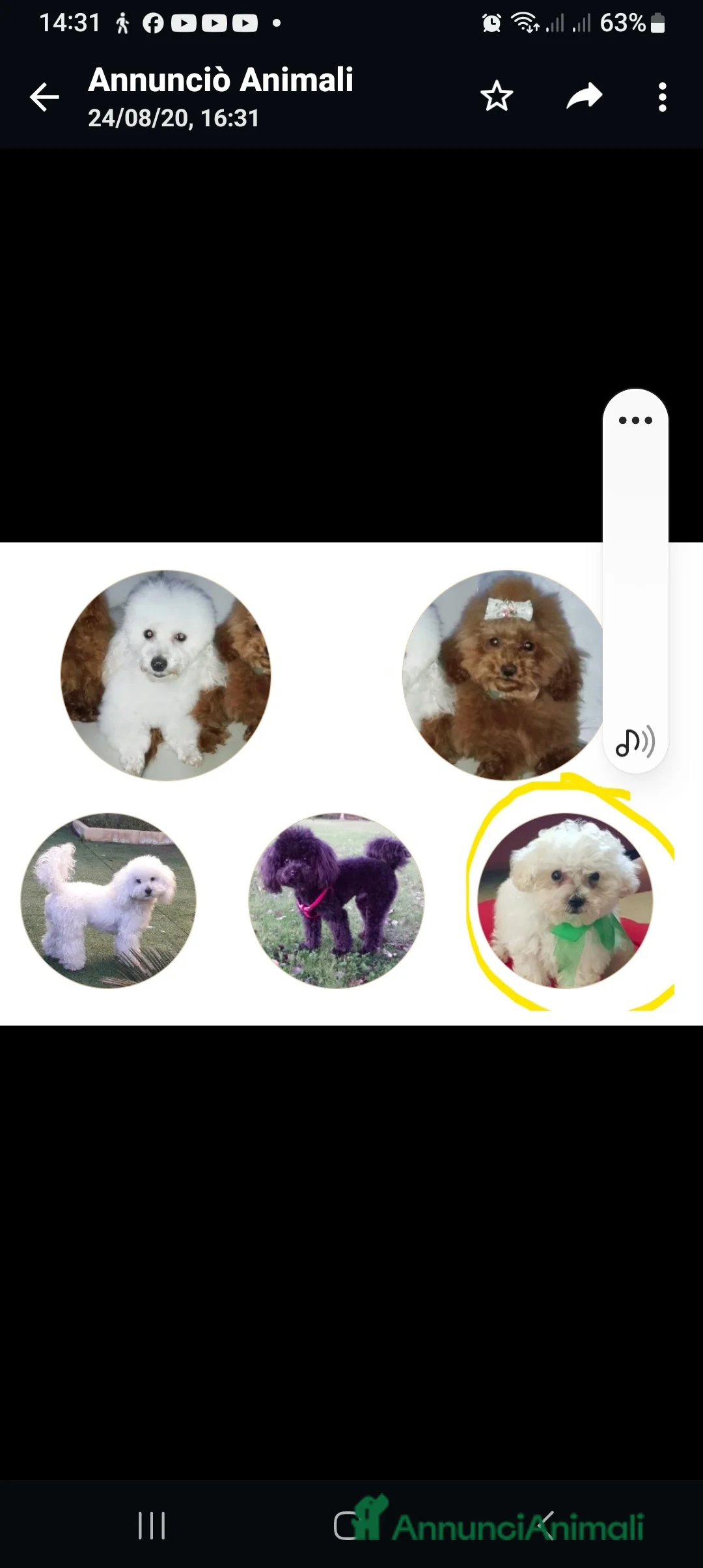 Immagine della galleria {{count}}