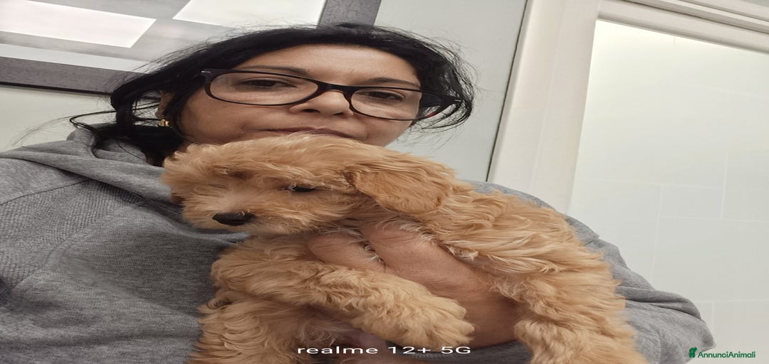 Immagine della galleria {{count}}