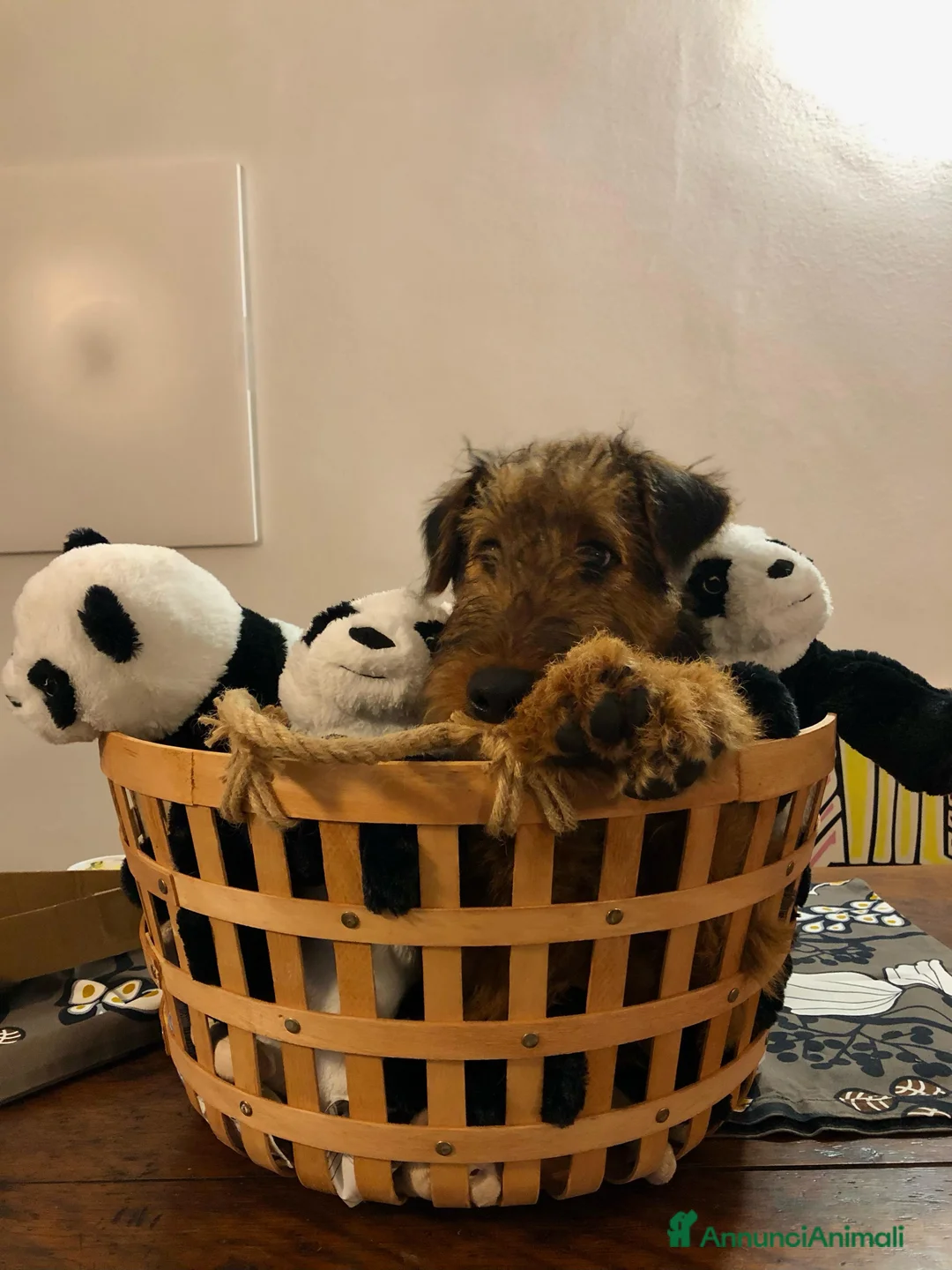 Immagine della galleria {{count}}