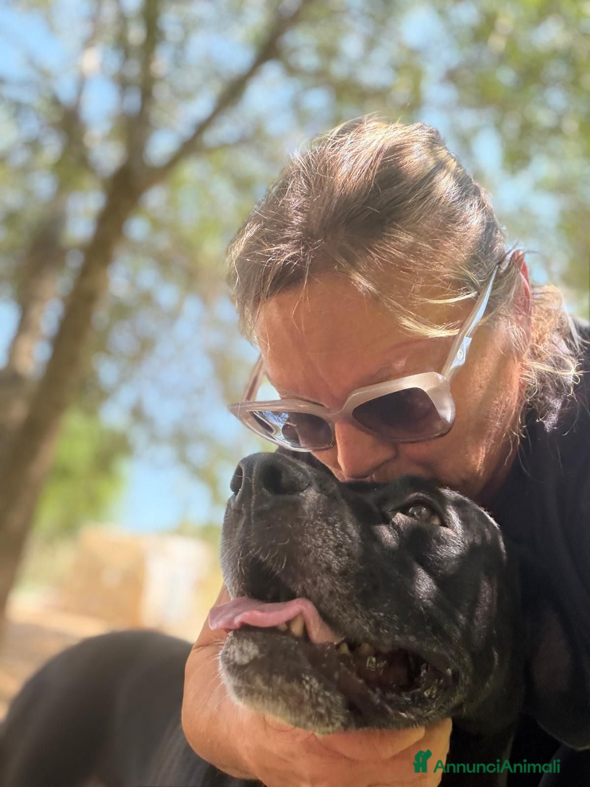 Meticcio cani in regalo: Lucinda - Annuncio 2