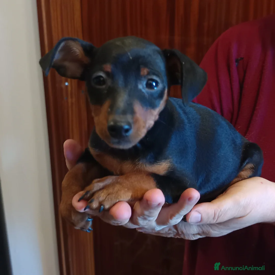 Immagine della galleria {{count}}