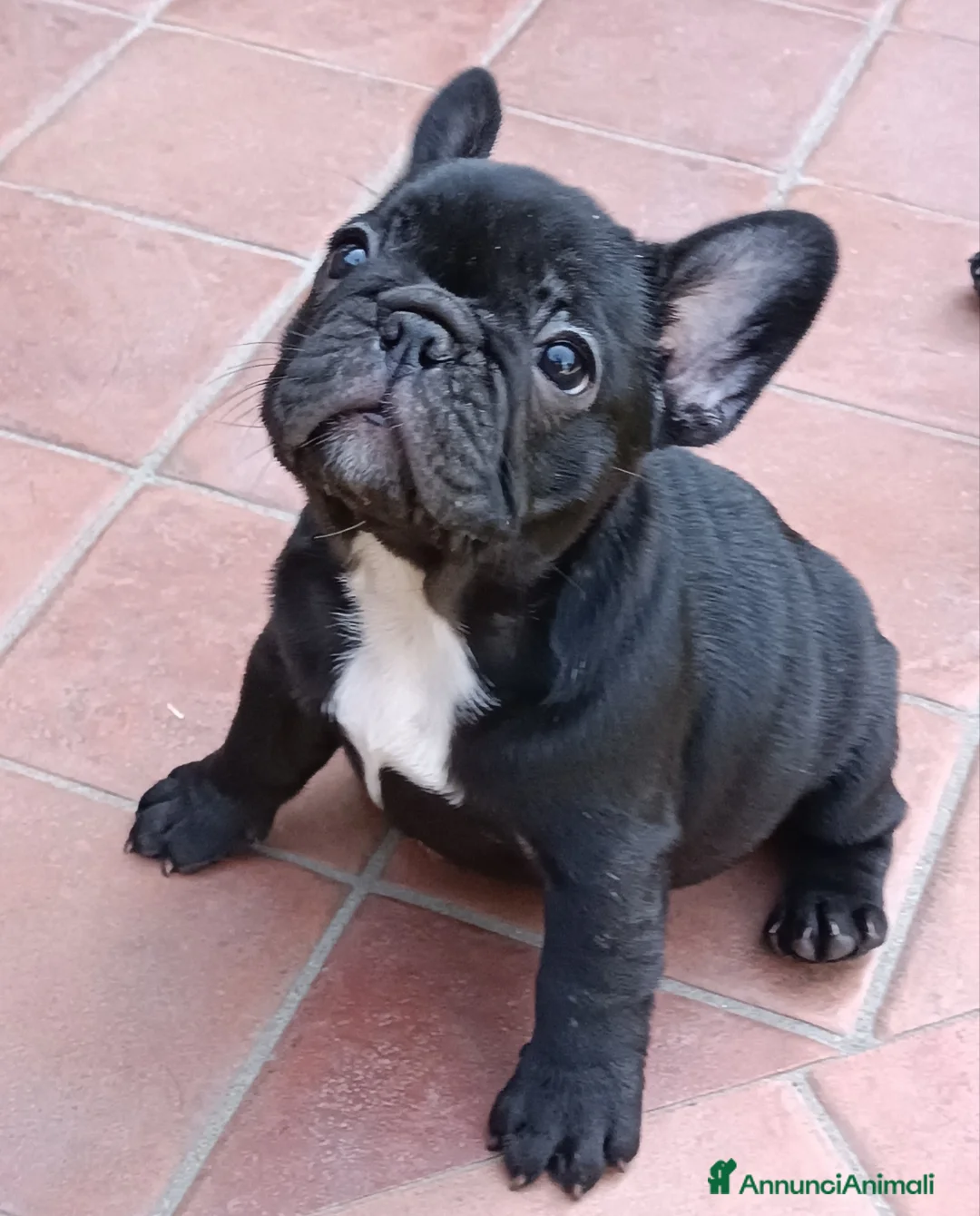 Immagine della galleria {{count}}