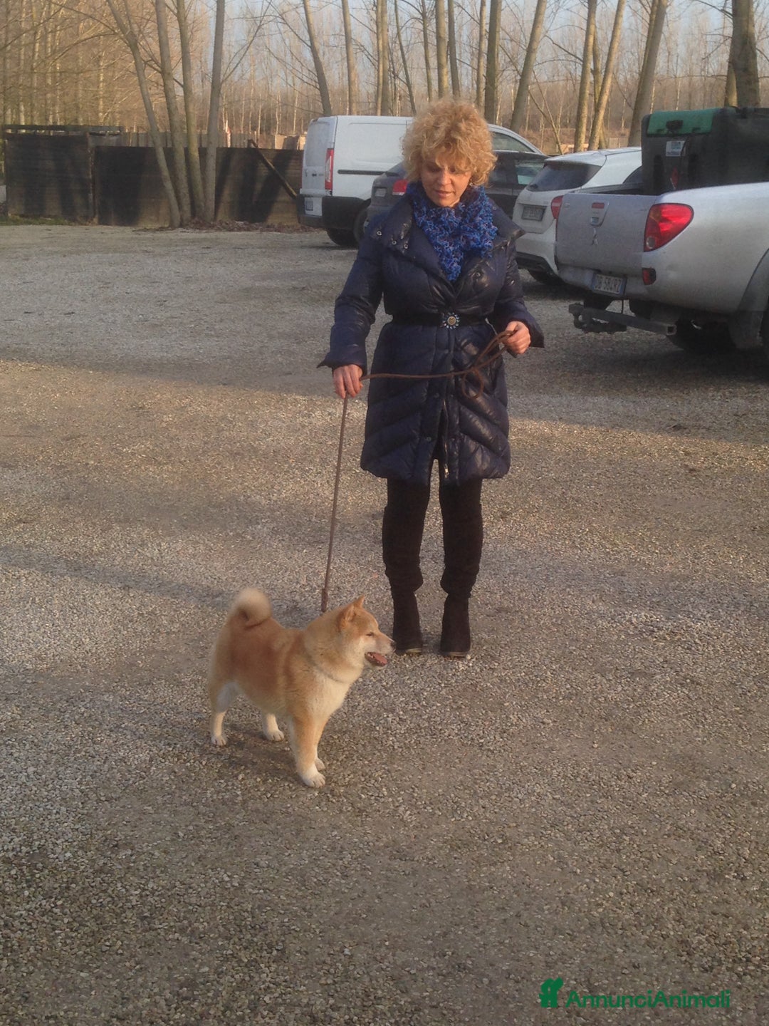 Immagine della galleria {{count}}