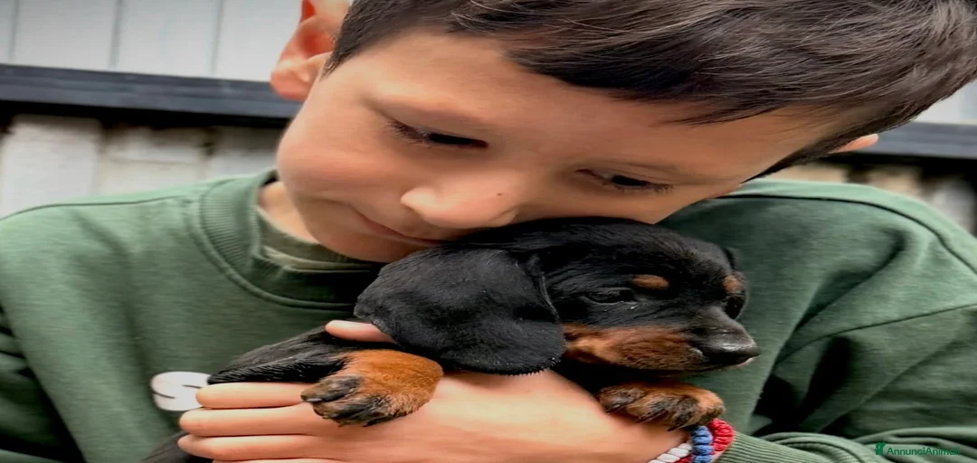 Immagine della galleria {{count}}