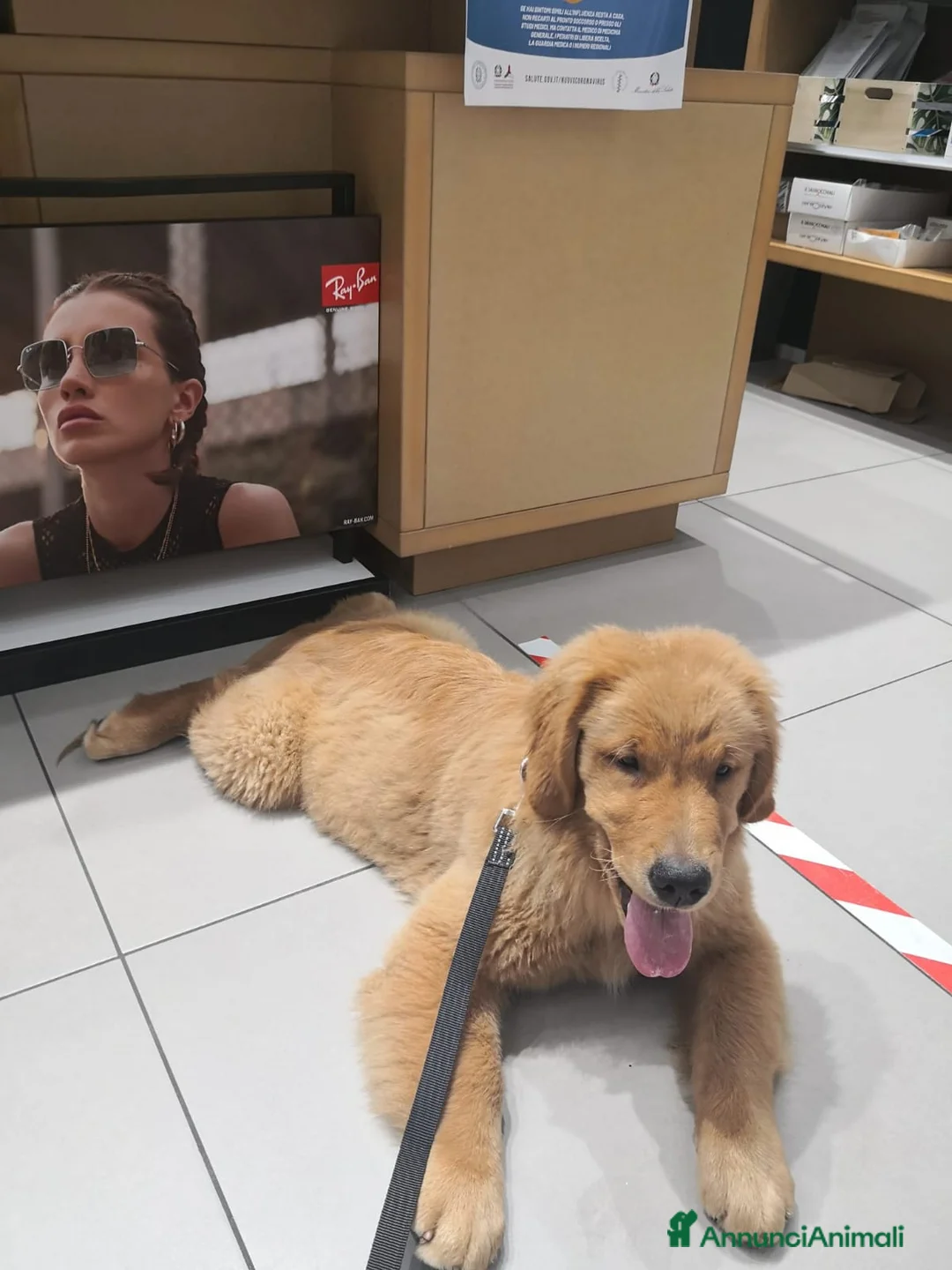 Immagine della galleria {{count}}