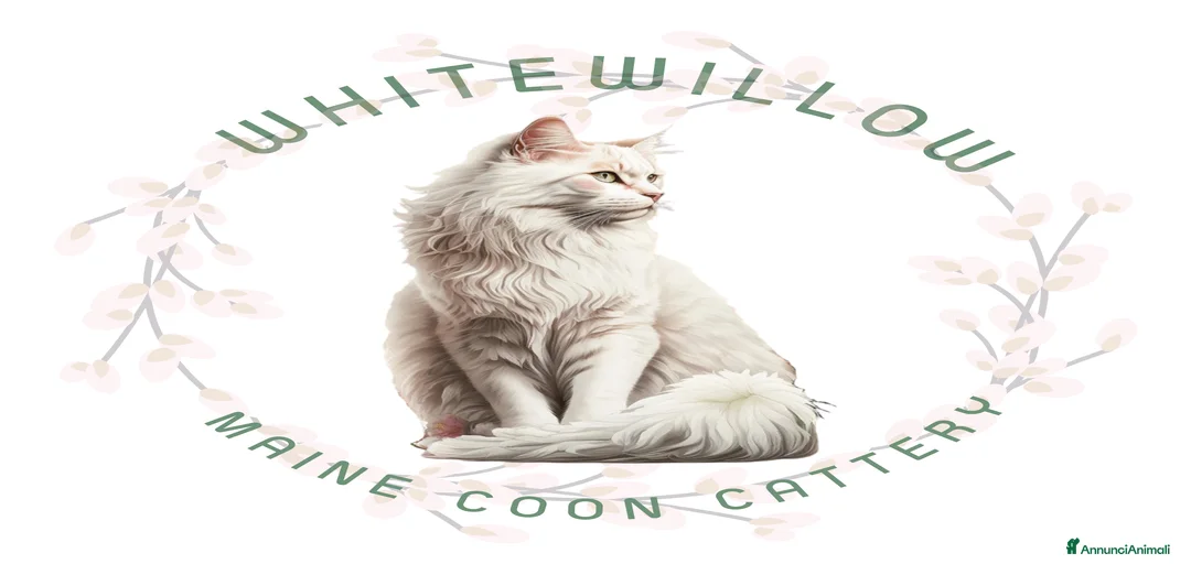 Immagine della galleria {{count}}