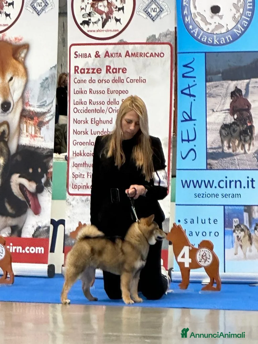 Immagine della galleria {{count}}