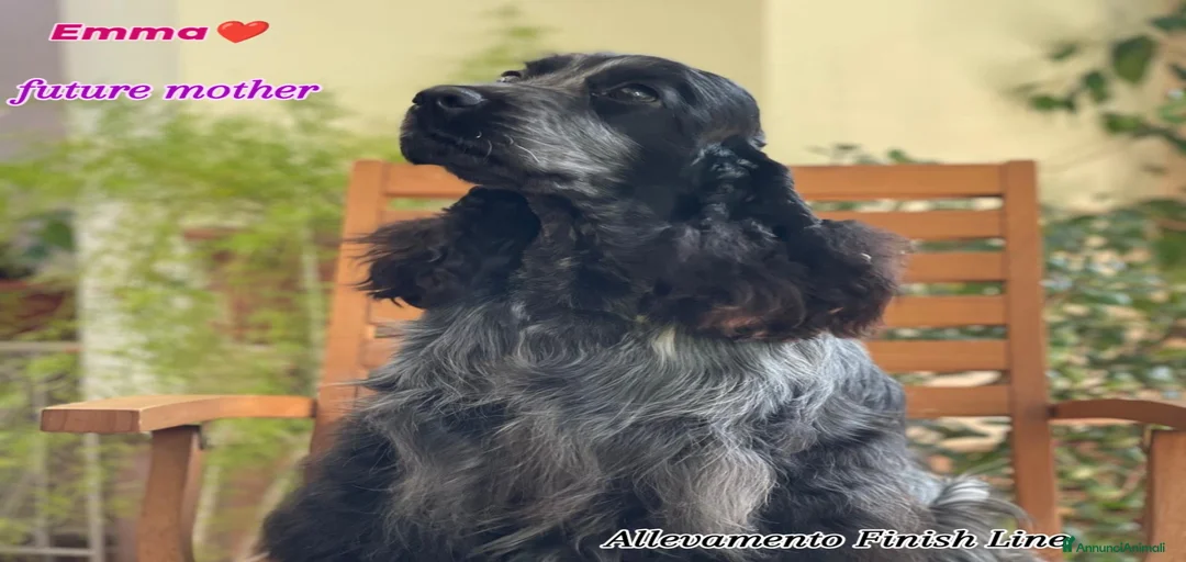 Immagine della galleria {{count}}