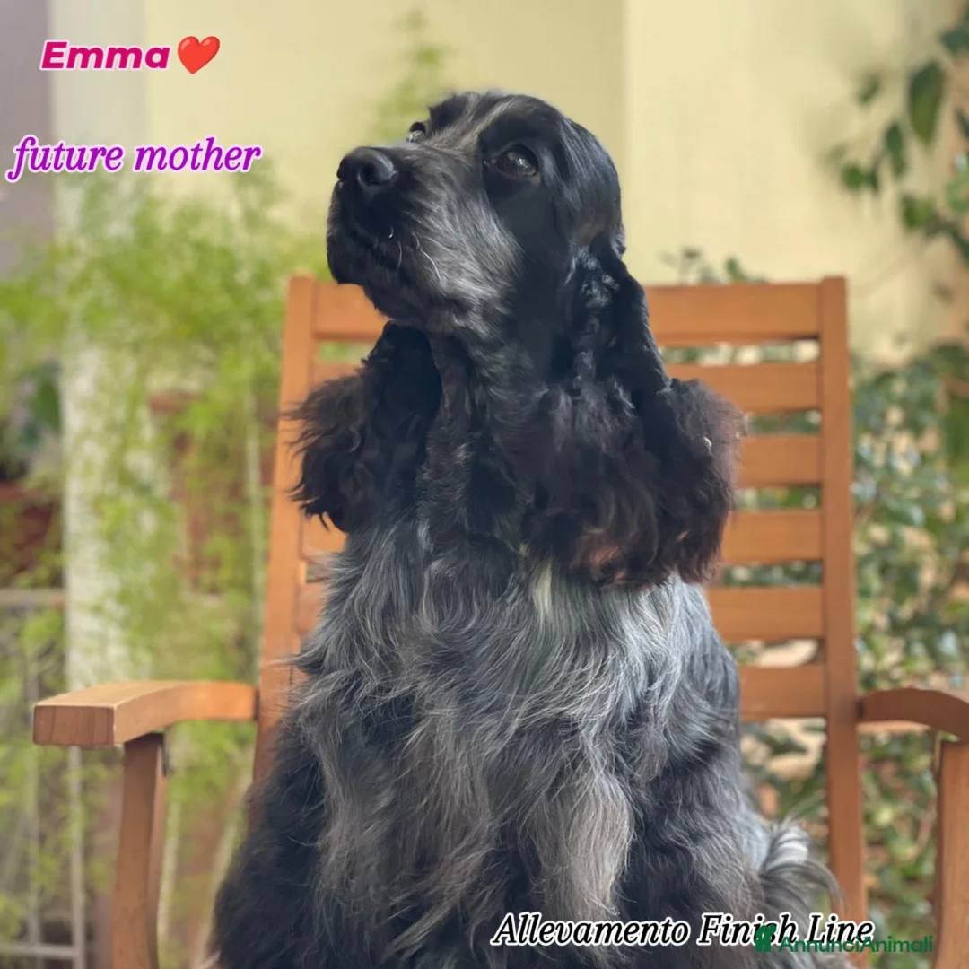 Immagine della galleria {{count}}