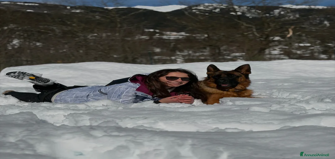 Immagine della galleria {{count}}