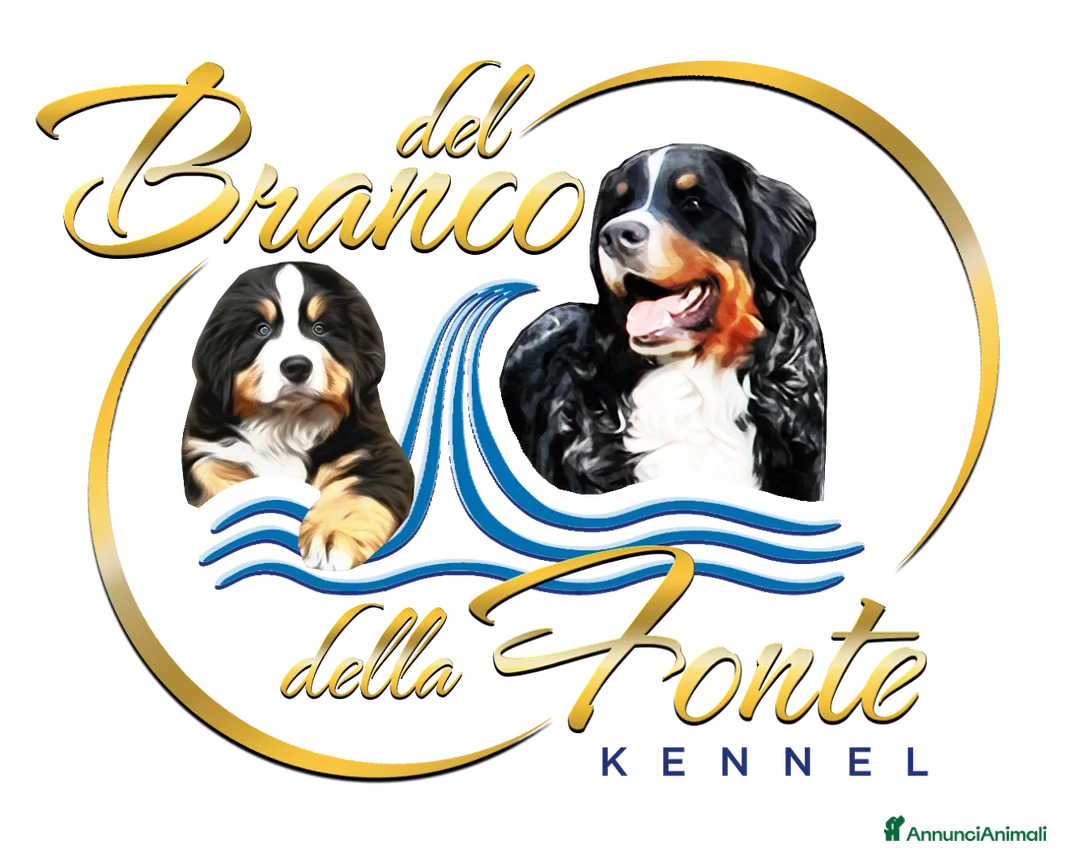 Immagine della galleria {{count}}