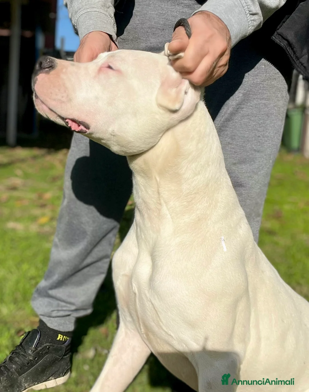 Immagine della galleria {{count}}