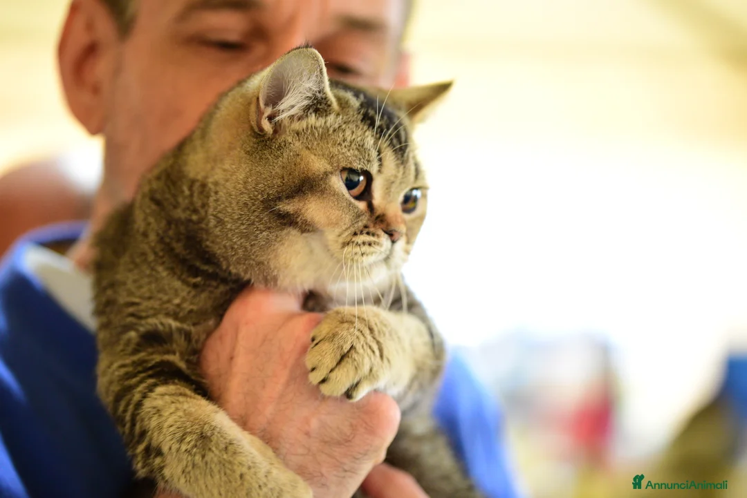 Immagine della galleria {{count}}