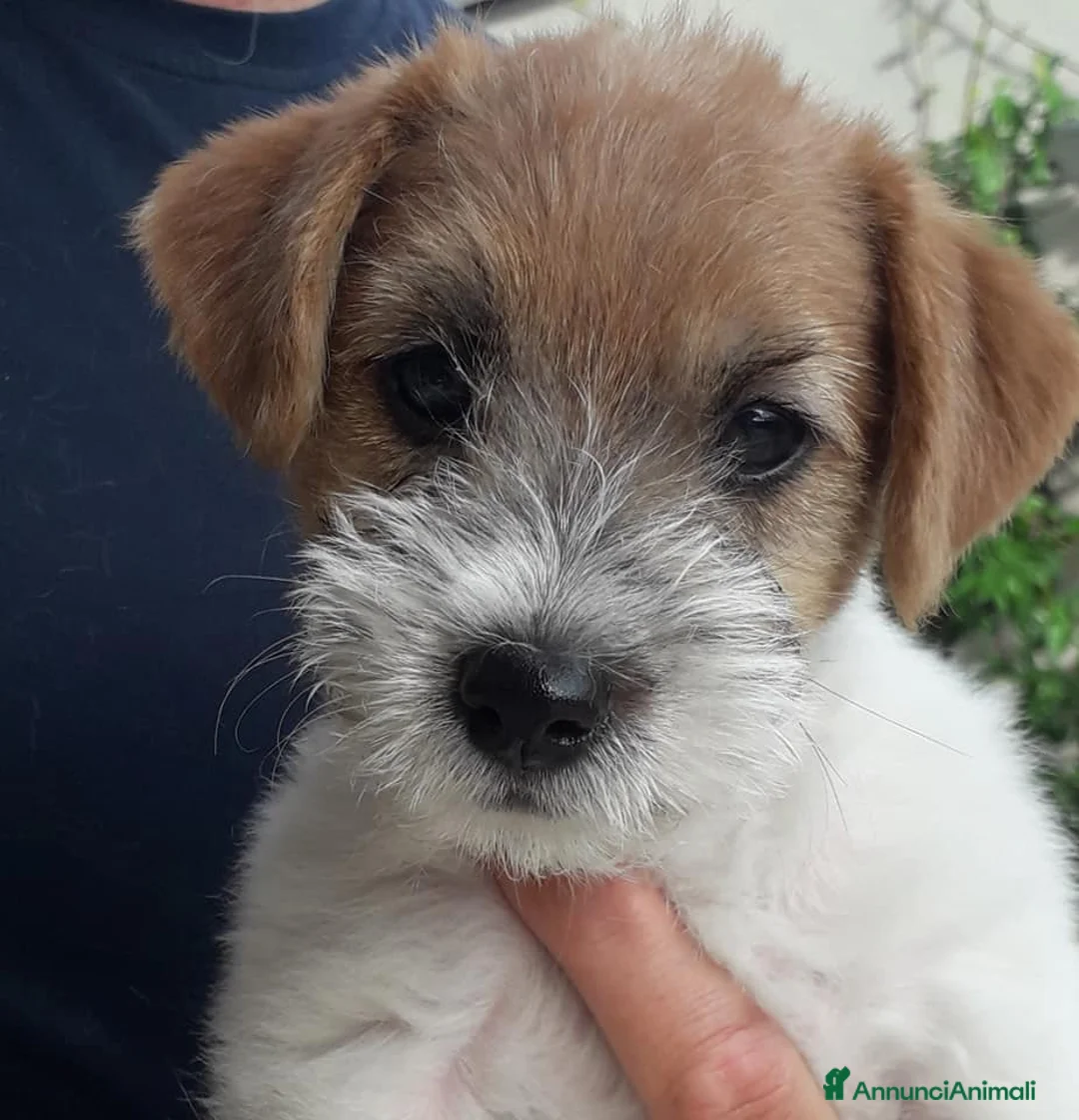 Immagine della galleria {{count}}