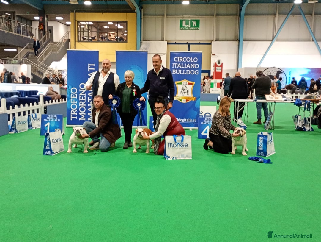 Immagine della galleria {{count}}