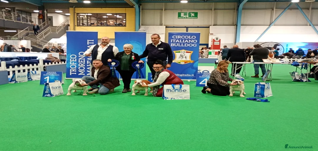 Immagine della galleria {{count}}