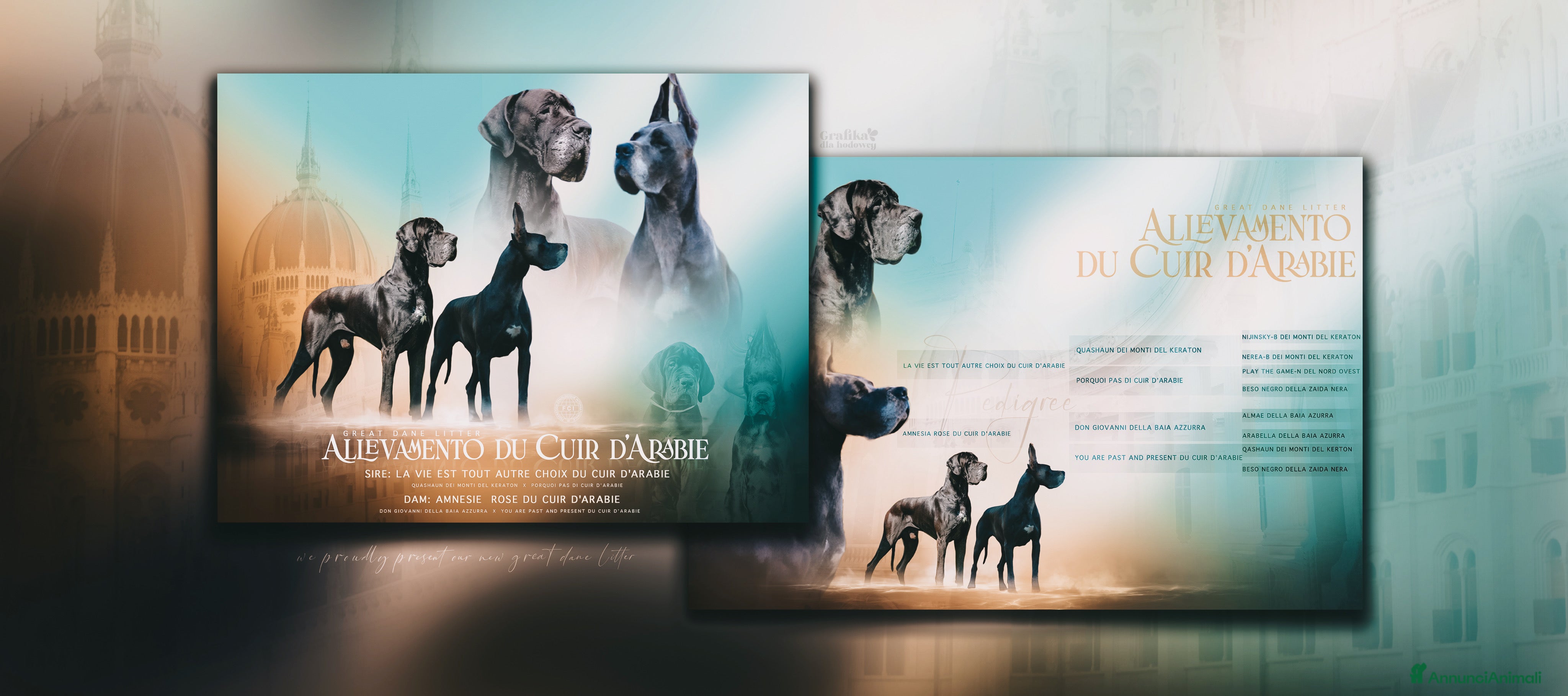 Alano cani Alani ciccioli neri e blu - Annuncio 3