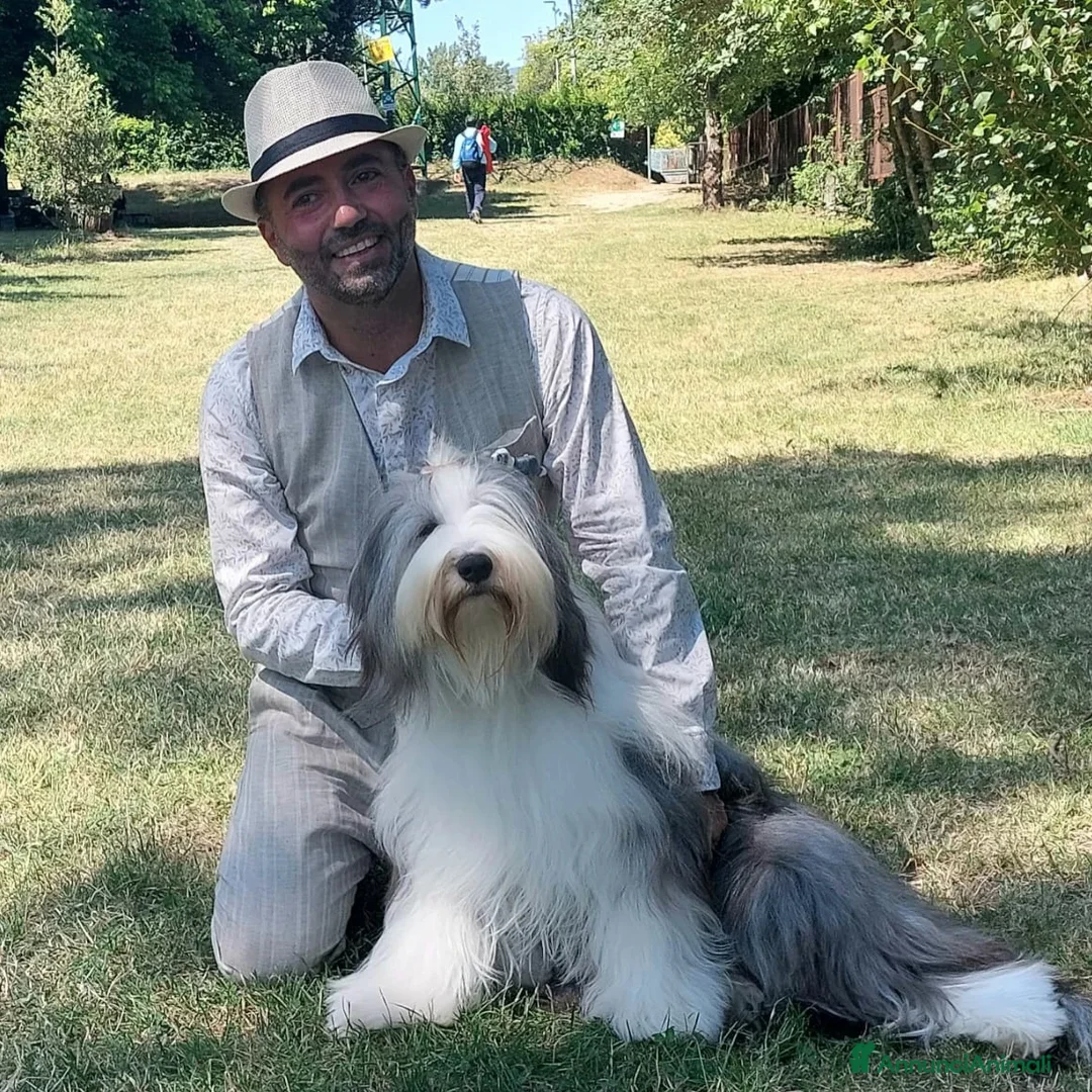 Immagine della galleria {{count}}