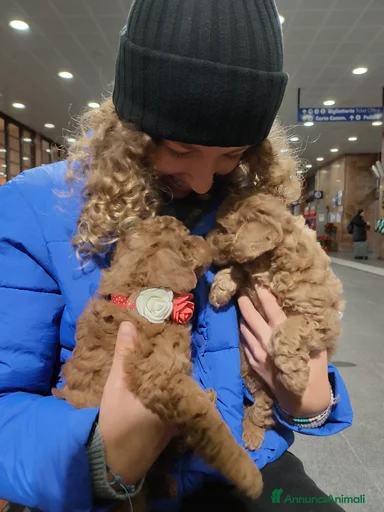 Immagine della galleria {{count}}