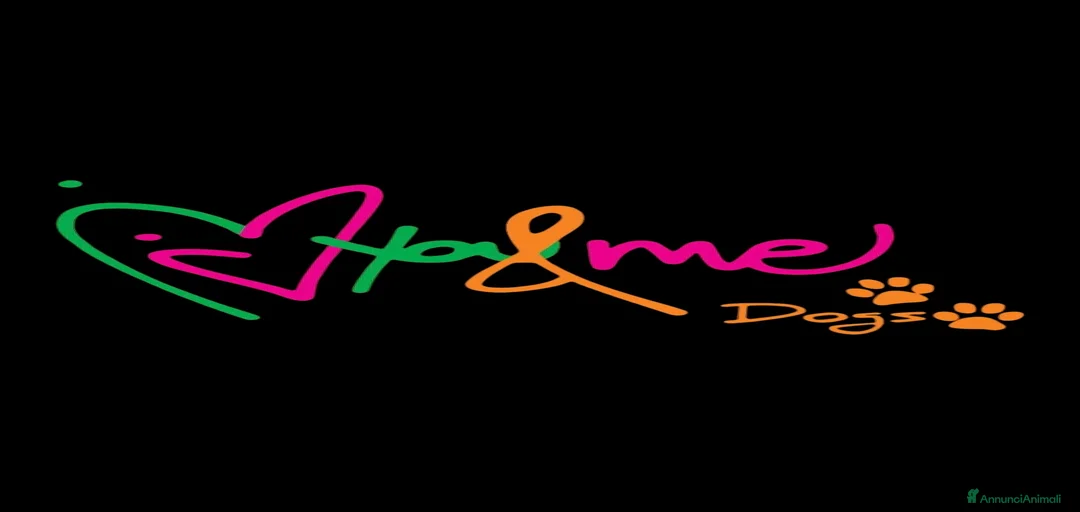 Immagine della galleria {{count}}