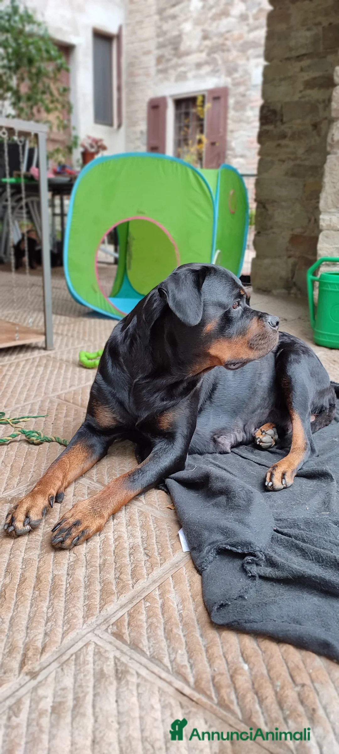 Immagine della galleria {{count}}