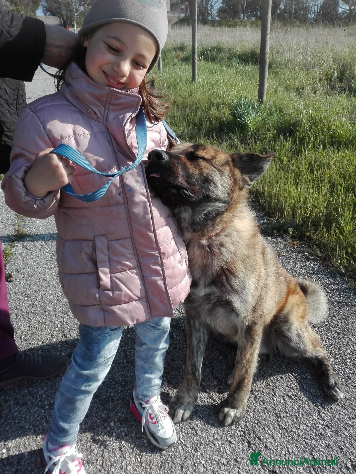 Meticcio cani Meticcio giocarellone - Annuncio 37