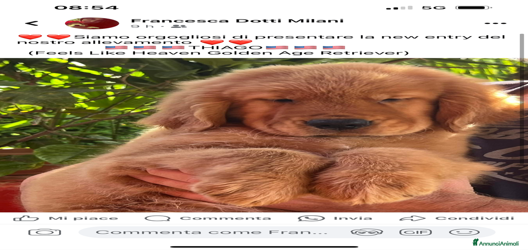 Immagine della galleria {{count}}