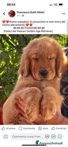 Immagine della galleria {{count}}