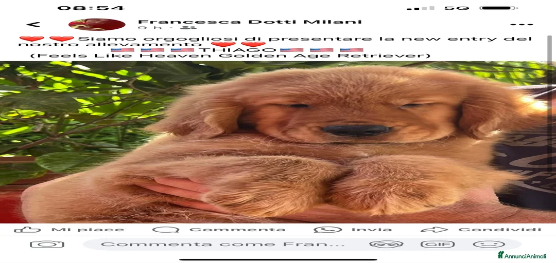 Immagine della galleria {{count}}