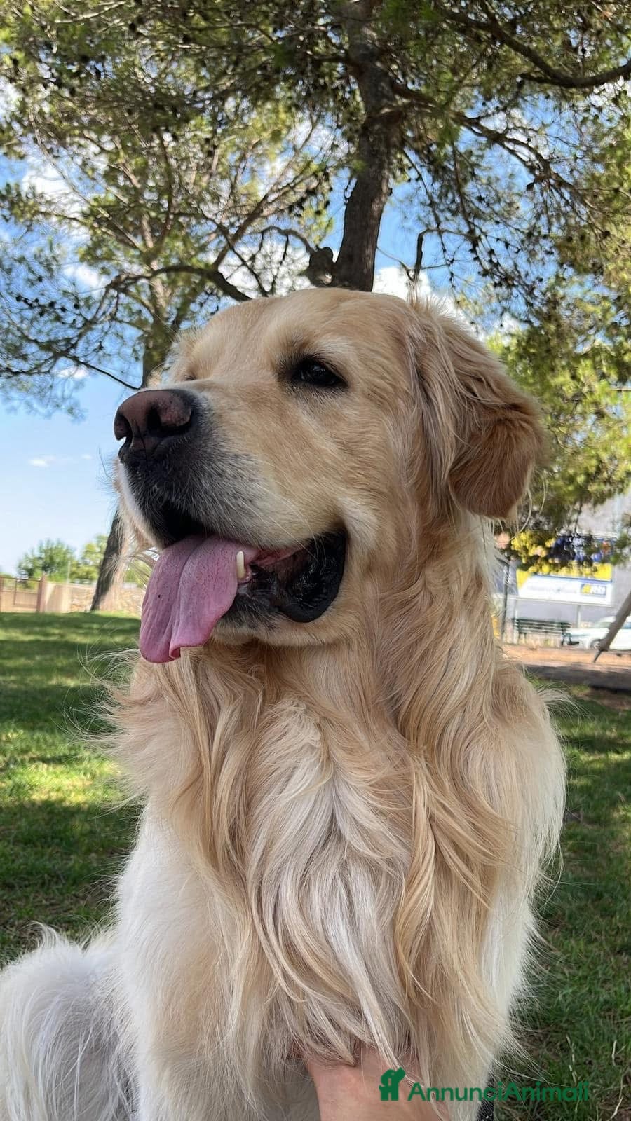 Axel