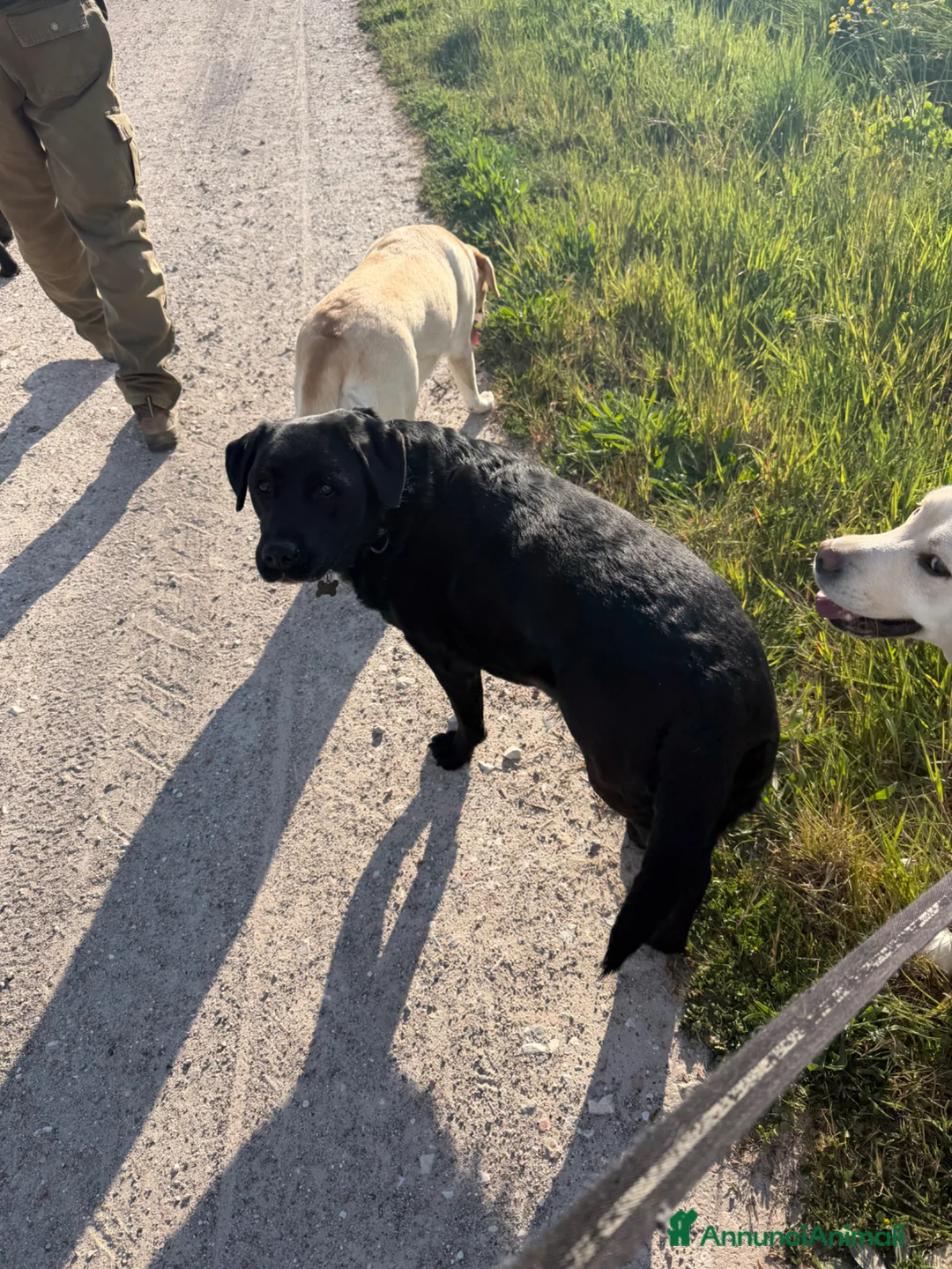 Immagine della galleria {{count}}