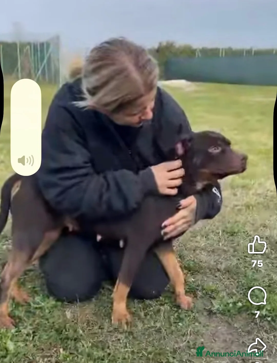 Pitbull cani in vendita: Cuccioli di Pit Bull con Pedigree anche a rate - Annuncio 2