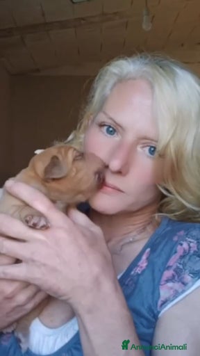 Immagine della galleria {{count}}