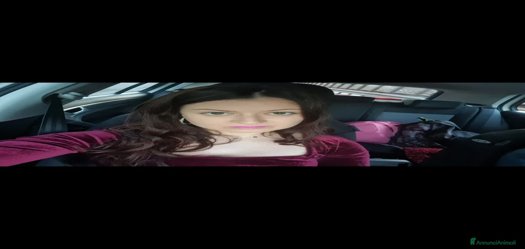 Immagine della galleria {{count}}