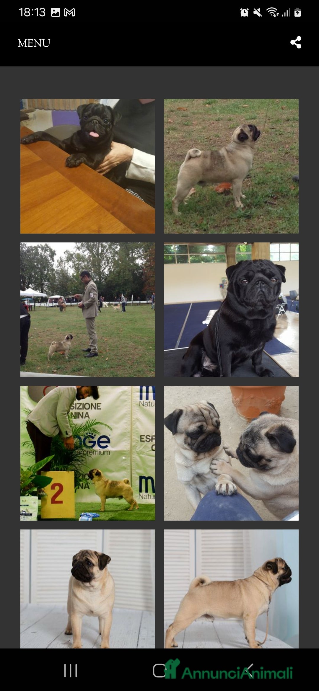 Immagine della galleria {{count}}