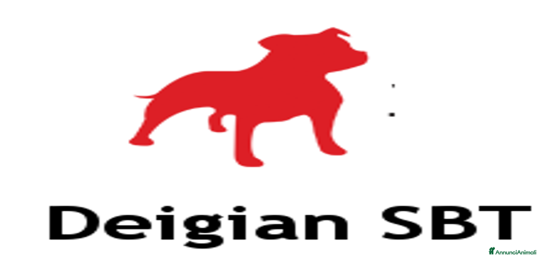 Immagine della galleria {{count}}