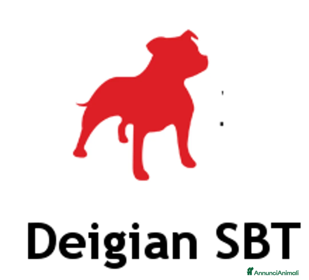 Immagine della galleria {{count}}