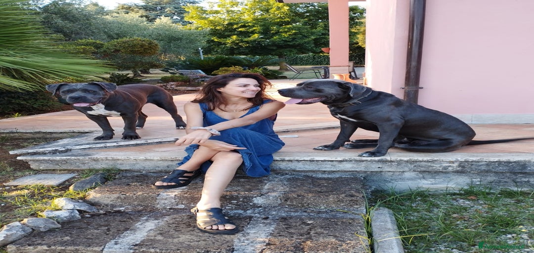 Immagine della galleria {{count}}