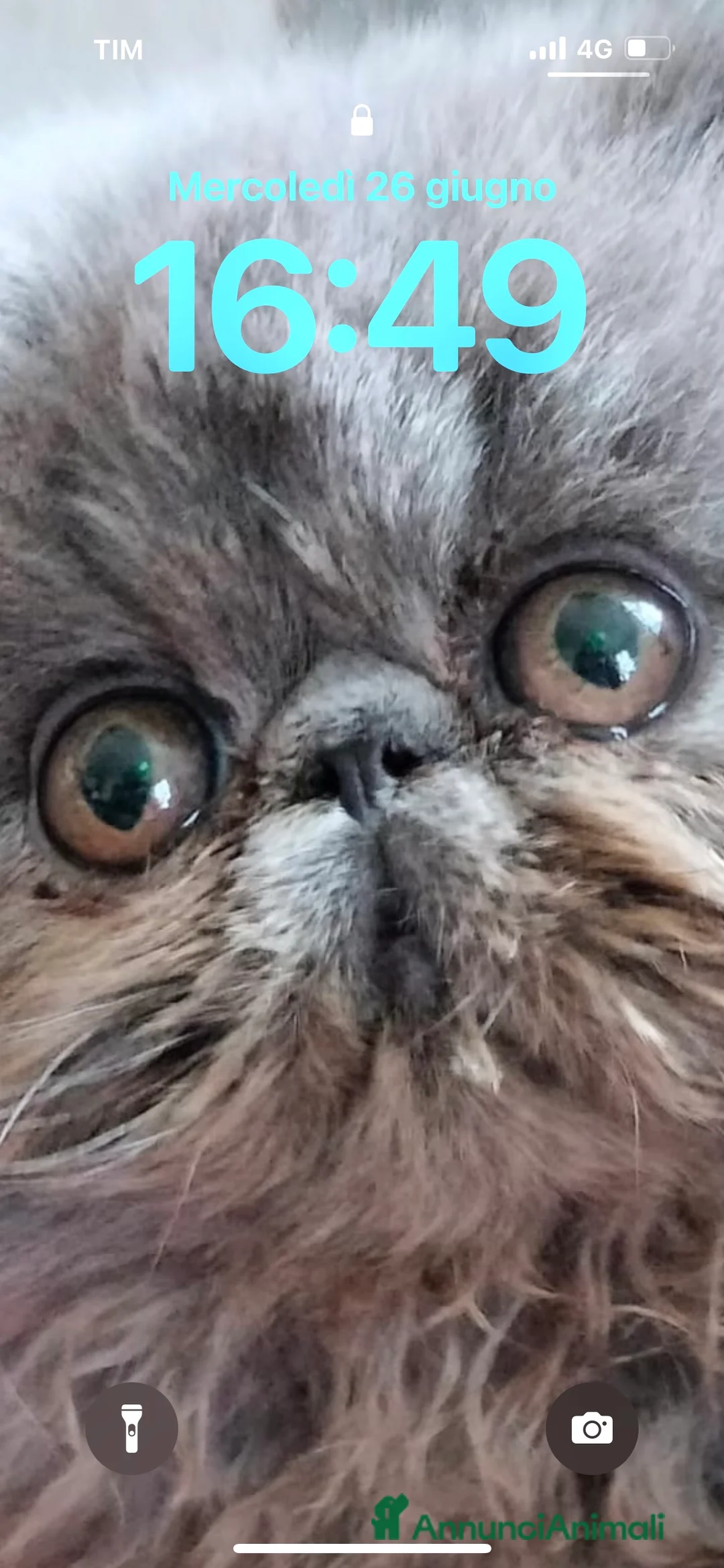 Immagine della galleria {{count}}