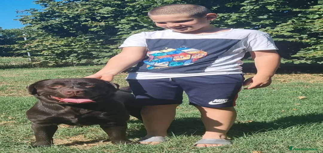 Immagine della galleria {{count}}