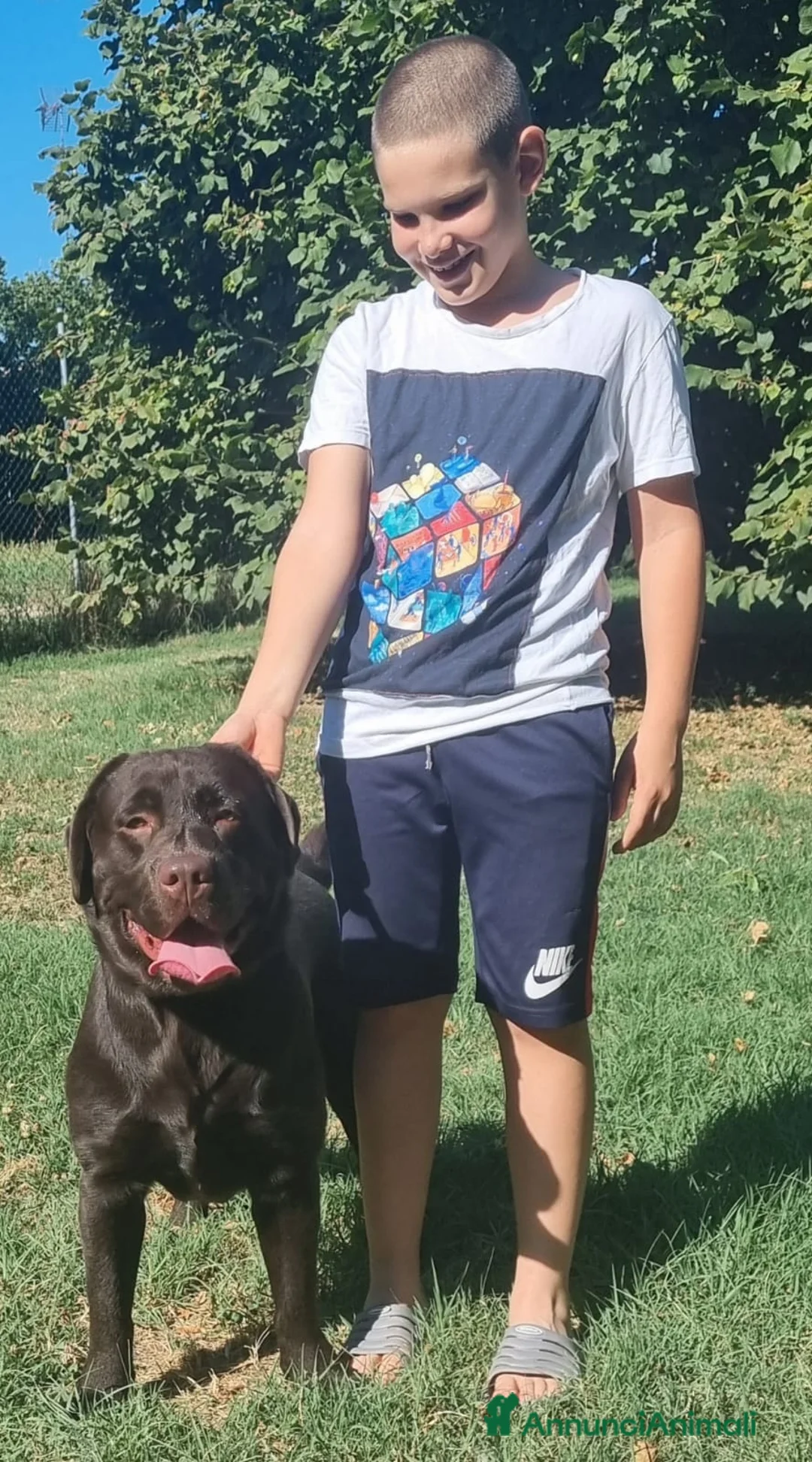 Immagine della galleria {{count}}