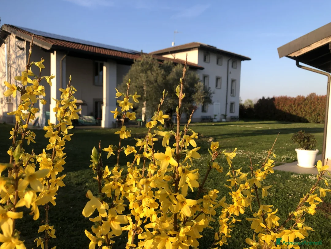 Immagine della galleria {{count}}