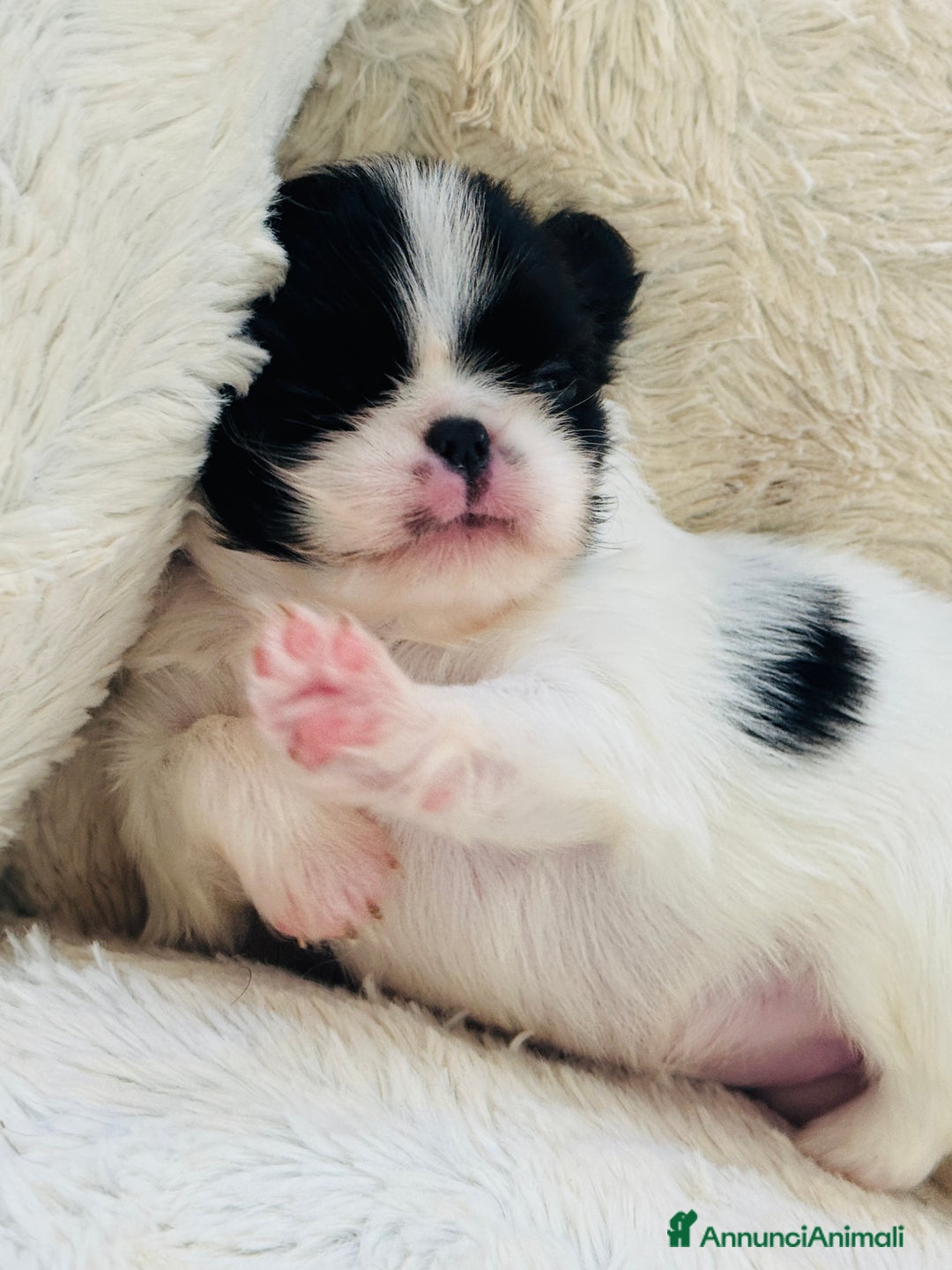 Immagine della galleria {{count}}