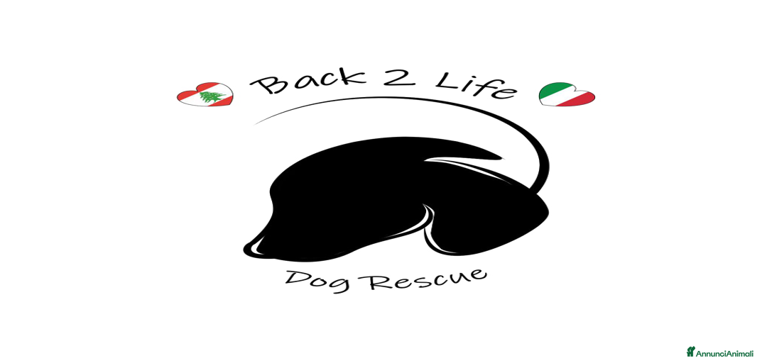 Immagine della galleria {{count}}